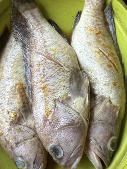 Kerapu marinasi isi 3